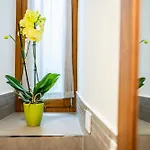 Domus Nursia 招待所 诺尔恰